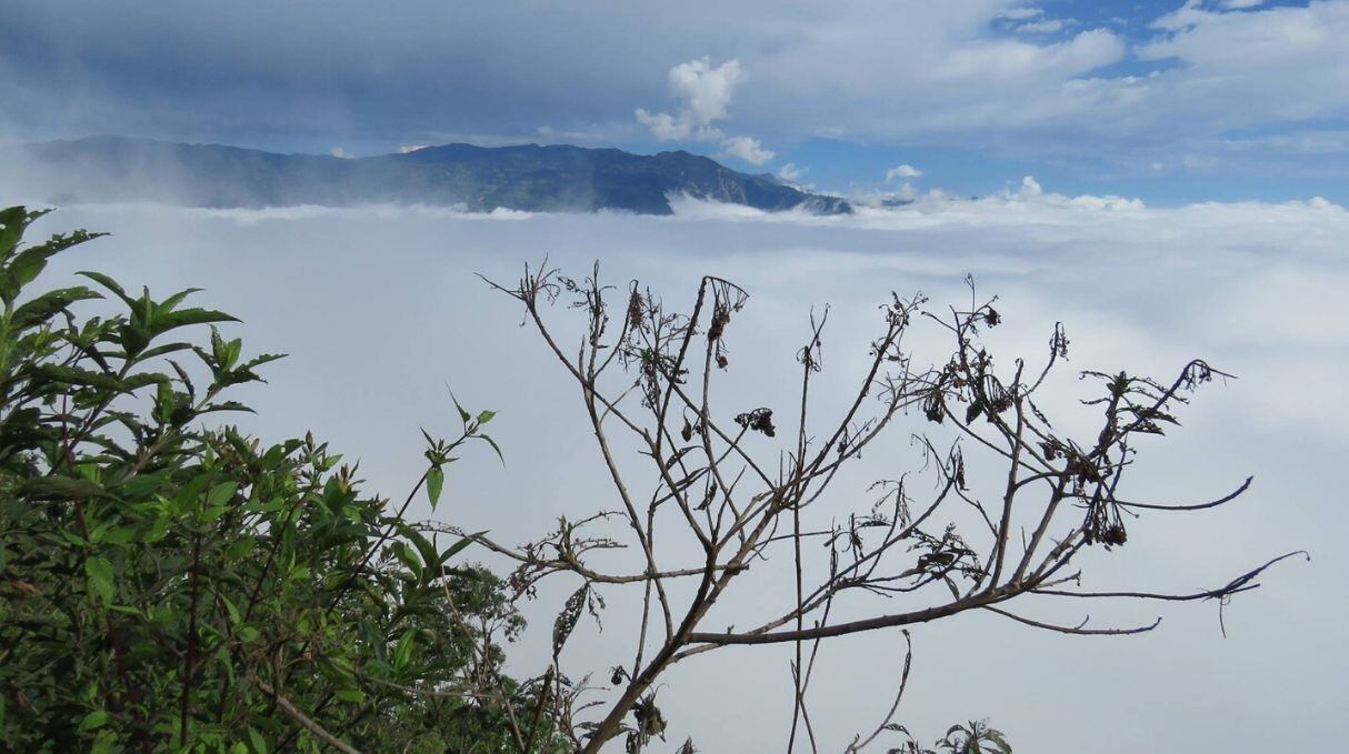 Los colchones de nube son impresionantes. (Foto: Facebook / Refugio de Vida Silvestre Bosques Nublados de Udima)