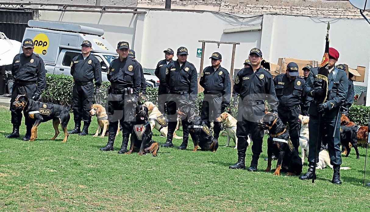 Policía Nacional recluta a perritos para la Brigada Canina