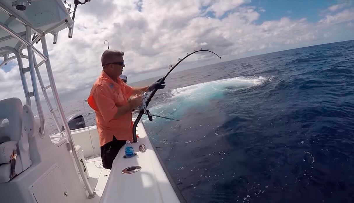 El momento exacto de la captura de un monstruoso pez espada de 343 kilos. (YouTube / StanzFam)