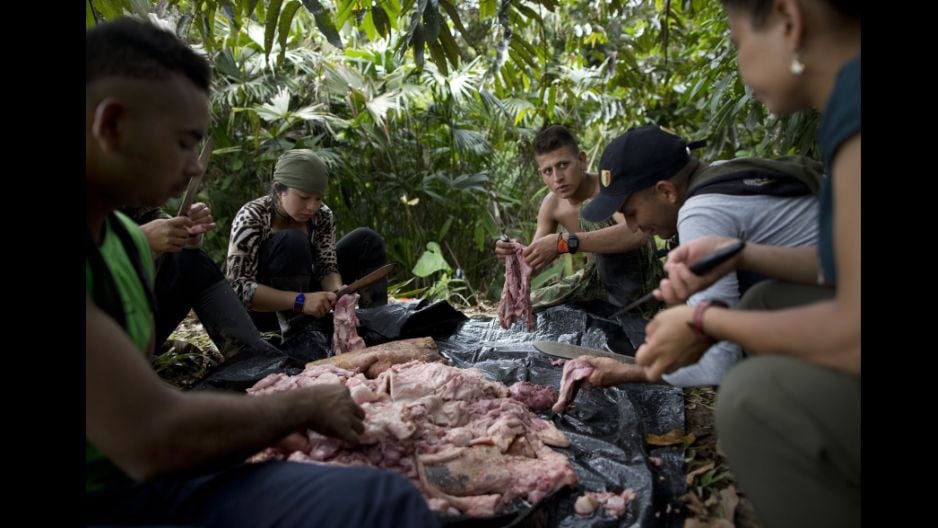 Colombia: Así viven las FARC en la selva mientras esperan la paz con gobierno [FOTOS]  - 1