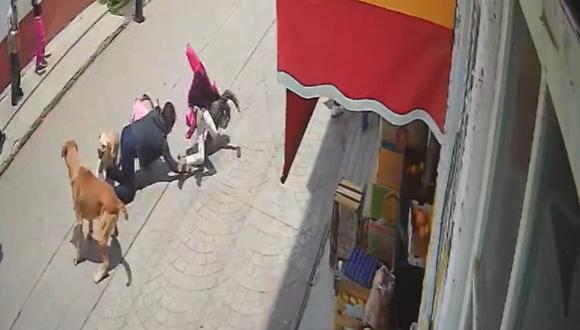 Unos perros hicieron tropezar a una mujer y su hija. (Foto: @pollis410 / TikTok)