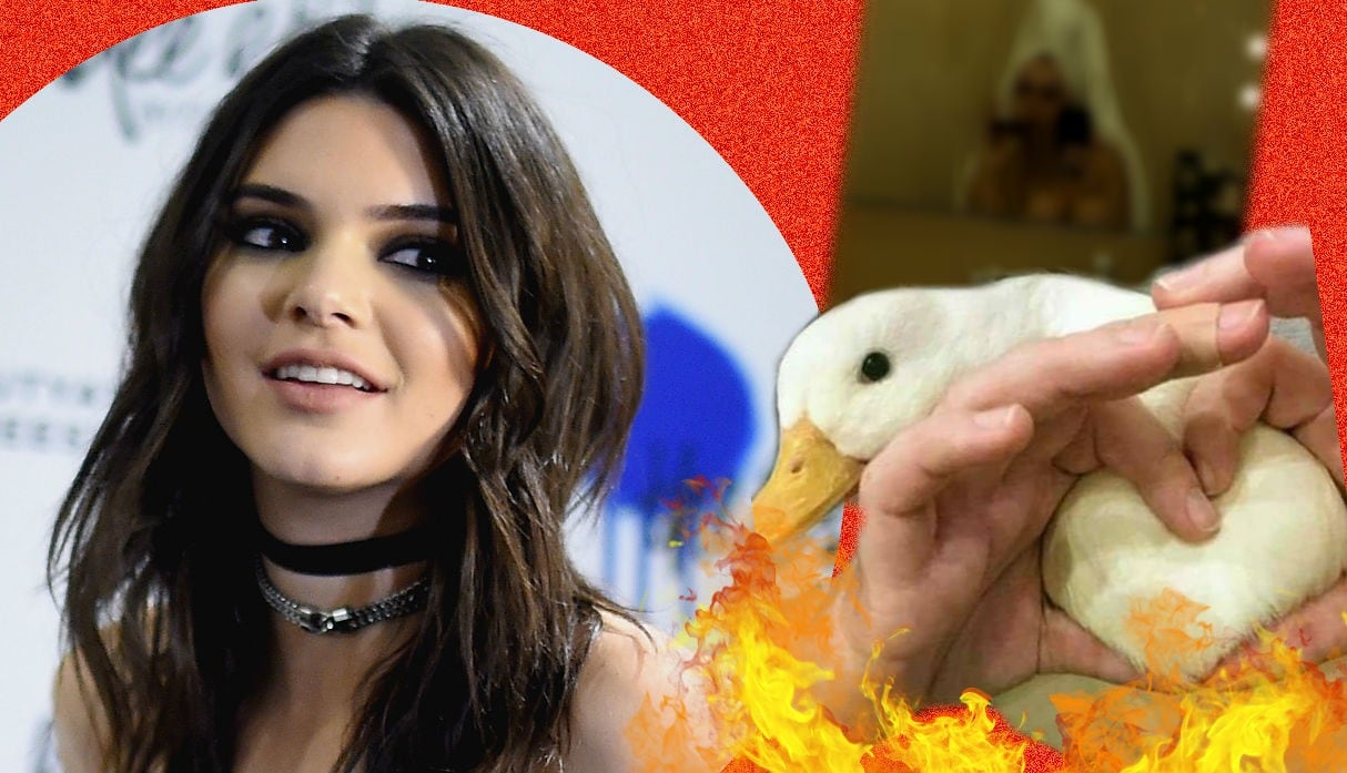Kendall Jenner dejó sorprendidos a muchos de sus fans con estas fotos 'hot'.