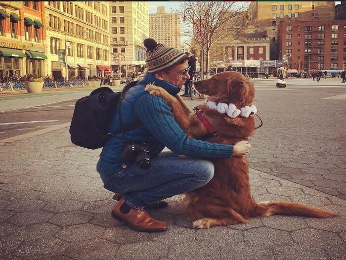 La pequeña golden retriever tiene la costumbre de abrazar a los desconocidos en las calles de Nueva York. Las imágenes de los abrazos está causando gran sensación en Instagram y todos las redes sociales.