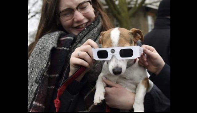Tener en cuenta los consejos para las mascotas durante el eclipse solar.