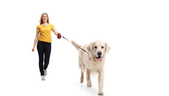 La importancia del uso de la correa al momento de pasear a tu perro.