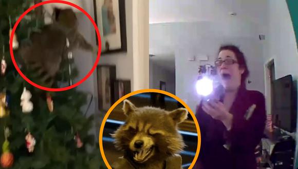 Un video viral muestra la curiosa experiencia de una mujer al encontrar un mapache oculto en su árbol de Navidad. | Crédito: Aubrey Iacobelli / Facebook.