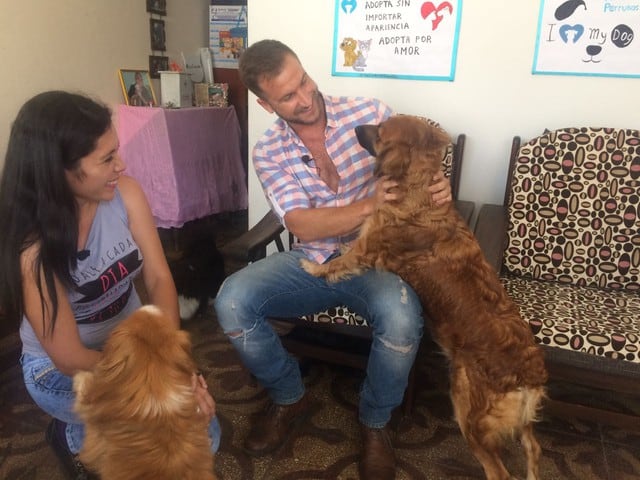 Dr Vet: David Villanueva ayudó a un albergue de perritos en Chorrillos