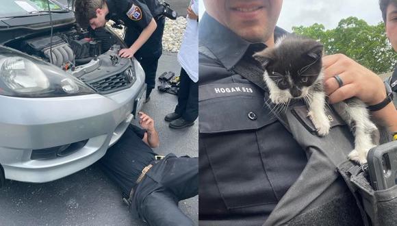 El gatito recibió atención especial del Departamento de Policía y del Cuerpo de Ambulancias del Valle de Ramapo.  (Fotos: FB Town of Ramapo Police Department)