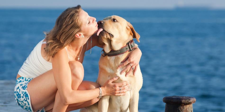 Informe reveló que las mujeres besan más a sus perros que a sus parejas.