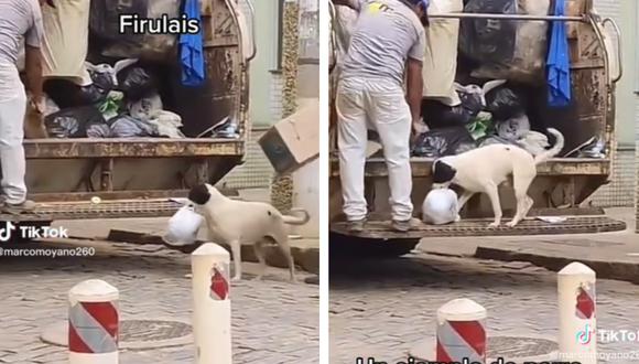 Las imágenes del pequeño can dejando la bolsa de desechos en el camión recolector, han enternecido a miles de usuarios. (Captura: @marcomoyano260)