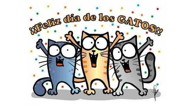Hoy es el Día Internacional del Gato y Twitter celebra con memes (Foto: Twitter)