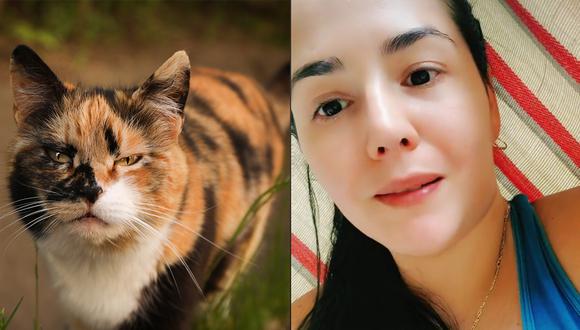 Una psíquica de animales contactó telepáticamente un un gatito perdido y descubrió la terrible verdad detrás de su desaparición. (Foto referencial: Freepik/ TikTok: @miavanegas22)