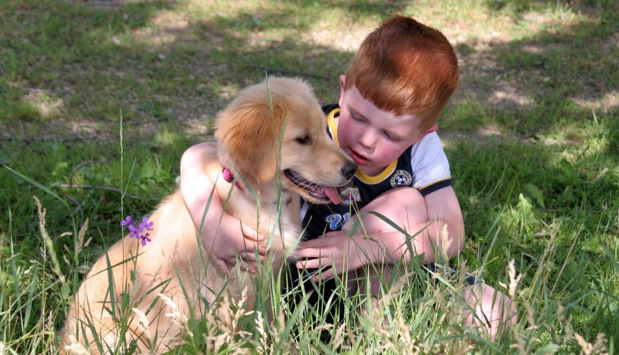 Un niño y su perro son los mejores compañeros y cómplices de travesuras. (Foto: Pixabay)