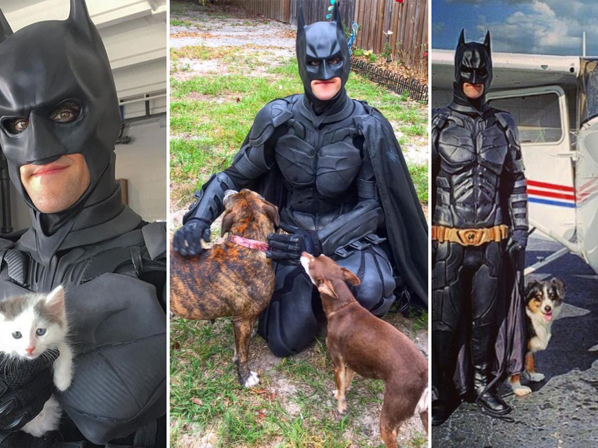 Viral | YouTube | Instagram | 'Batman' salva a mascotas programadas para  