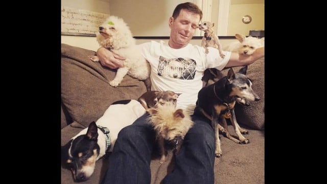 Conoce la historia de este salvador de perritos viejos. (Instagram)