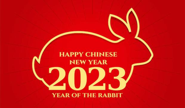 The year of the Water Rabbit begins on January 22, 2023. What can each zodiac sign expect from this period?  (Photo: Freepik)