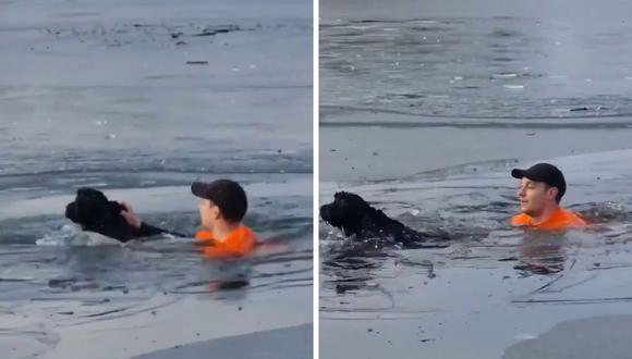 El animal fue rescatado por el hombre, quien salió a correr. El video del hecho se volvió viral en Facebook. (Foto: @FAAOfficiel | Twitter)