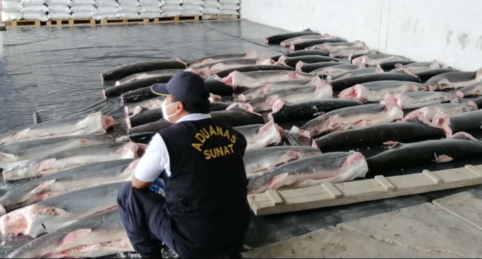 SUNAT incauta toneladas de carne de tiburón que iba a entrar al Perú en cargamento  de especies marinas. Venía desde Ecuador y sin aletas. (Foto: SUNAT)