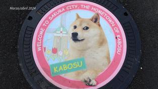 Kabosu, la perrita que inspiró el logo de la criptomoneda, murió a los 18 años