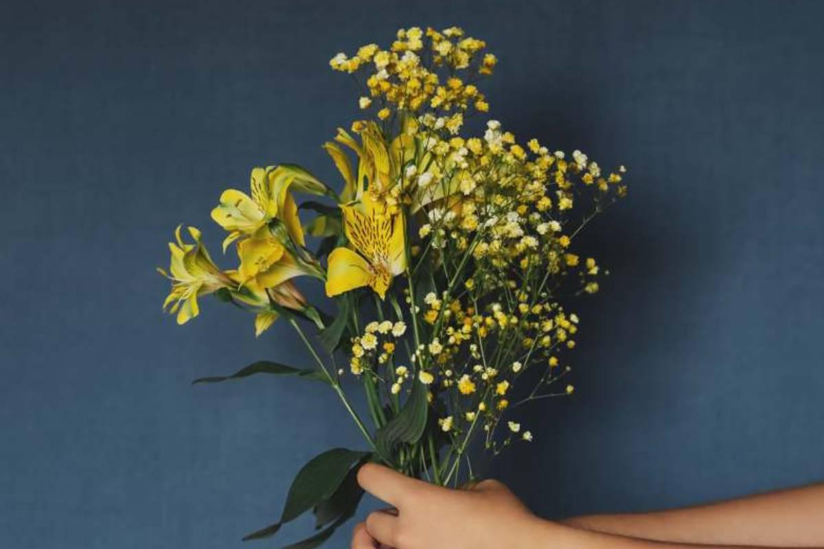 Por qué piden regalar flores amarillas este 21 de setiembre origen del  viral en TikTok Floricienta | RESPUESTAS 