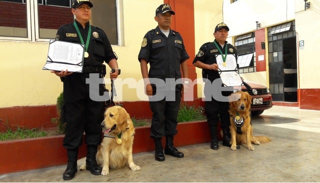 Policía premia a 'Pancho' y 'Argus' por distinguida intervención que junto a sus guías lograron decomisar 30 kilos de droga, en Surco. (Fotos: Nathalie Salazar/ Trome)