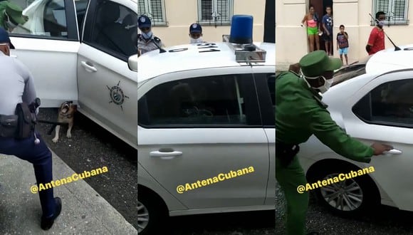Un video viral muestra cómo un perro fue "detenido" por casi un pelotón policial. | Crédito: Antena Cubana / Facebook.