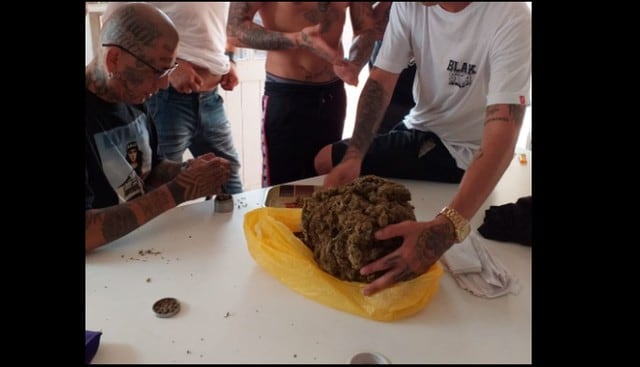 ‘Coyote’ tenía laboratorio artesanal con plantones de marihuana, en Miraflores.