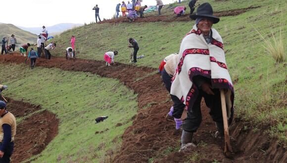 Minagri anuncia que siembra y cosecha de agua generará más de 91 mil empleos en 11 regiones del país. (Foto: Andina)