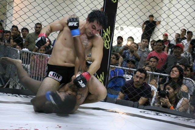 Jaimer Córdoba venció al 'Pitbull brasileño' en velada de MMA 300 Sparta número 14. (Difusipon)