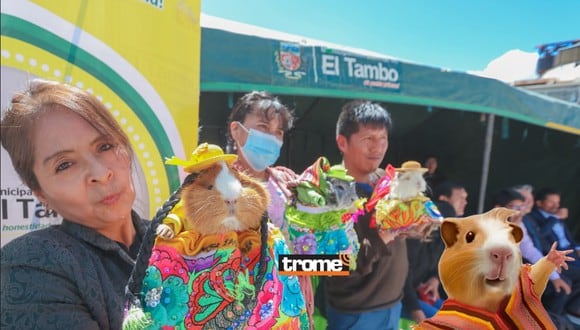 Concurso de cuy fashion se realizó para presentar el festival que busca impulsar la reactivación de productores de este animalito en el anexo Saños Chaupi, con apoyo de la Municipalidad de El Tambo . (Compos. Isabel Medina / Trome).