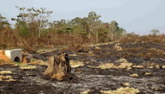 La deforestación propicia infecciones y aumenta calentamiento global, pero también tendría relación con la aparición de las pandemias. (Foto referencial: Reuters)