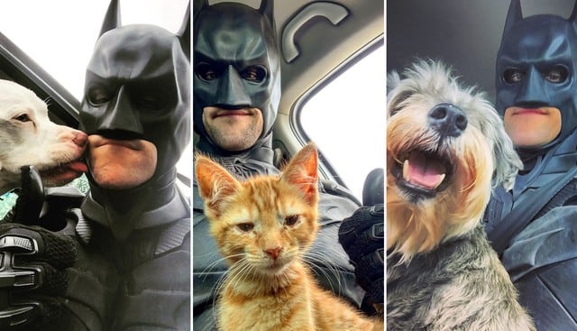 Un amante de los animales usa su pasión por los superhéroes para realizar buenas acciones. (Fotos: @batman4paws en Instagram)