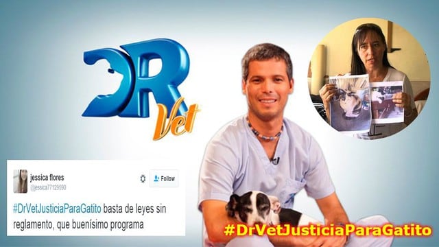 ‘Dr. Vet’ es tendencia en Twitter por pedir justicia para gatito baleado en el Callao (Composición: Trome)