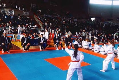 VI Sudamericano de Taekwondo