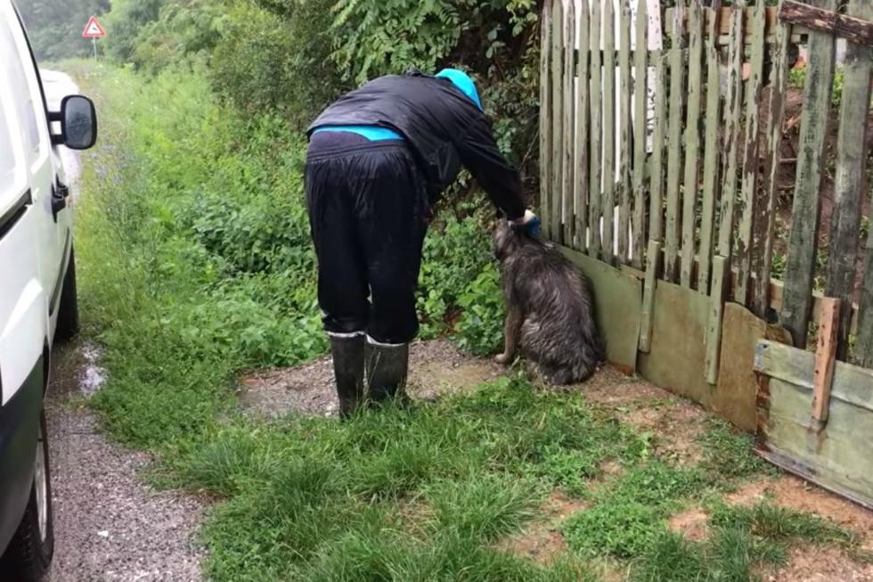 Los rescatistas asumen que el can, que fue encontrado durante un día lluvioso, estaba esperando a que llegara su dueño. (Foto: Captura)
