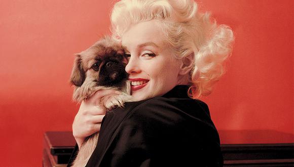 Marilyn Monroe dejó un gran legado cultural en su carrera (Foto: iconicimagesnet⁣)