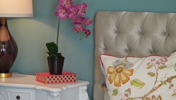 Las orquídeas le darán un toque especial a tu casa. (Foto: Pixabay)