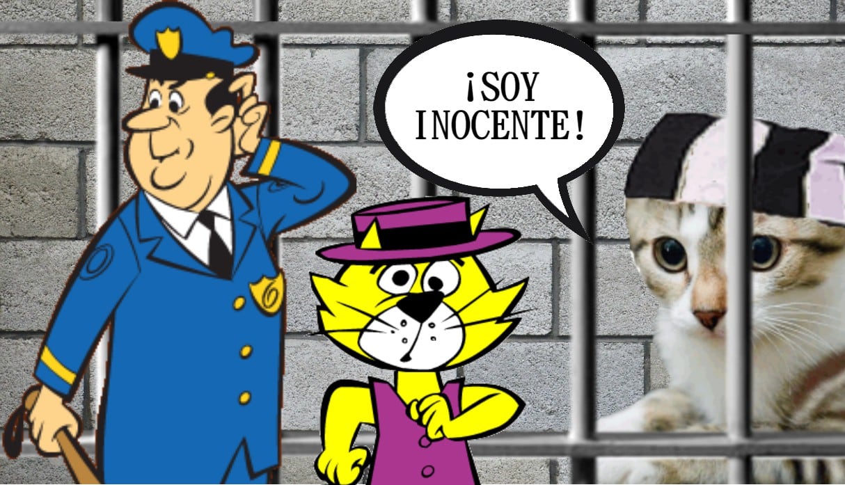 Noticias insólitas: Atrapan en cárcel a gatos entrenados para llevar celulares a reos | Costa Rica