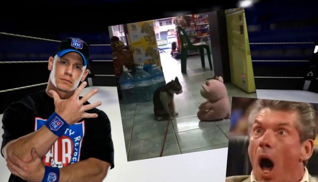 'El Gato de John Cena' le aplica un FU a peluche, se vuelve viral en Facebook pero misteriosamente nadie lo pudo ver. ¿Qué pasó? (Fotos: Captura de Facebook)