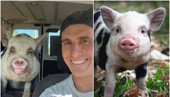 Adopta un cerdo como mascota, pero se lo termina comiendo y ahora podría ir a prisión. (Foto: @facundoromanmedina / Instagram)