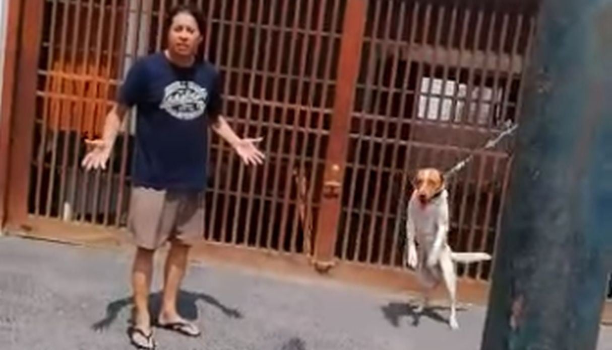 Acusa a vecino de San Isidro de maltratar a su perro y este lo amenaza con denunciarlo 'por ladrón'. Foto: Captura de pantalla de Facebook de Grupo Caridad