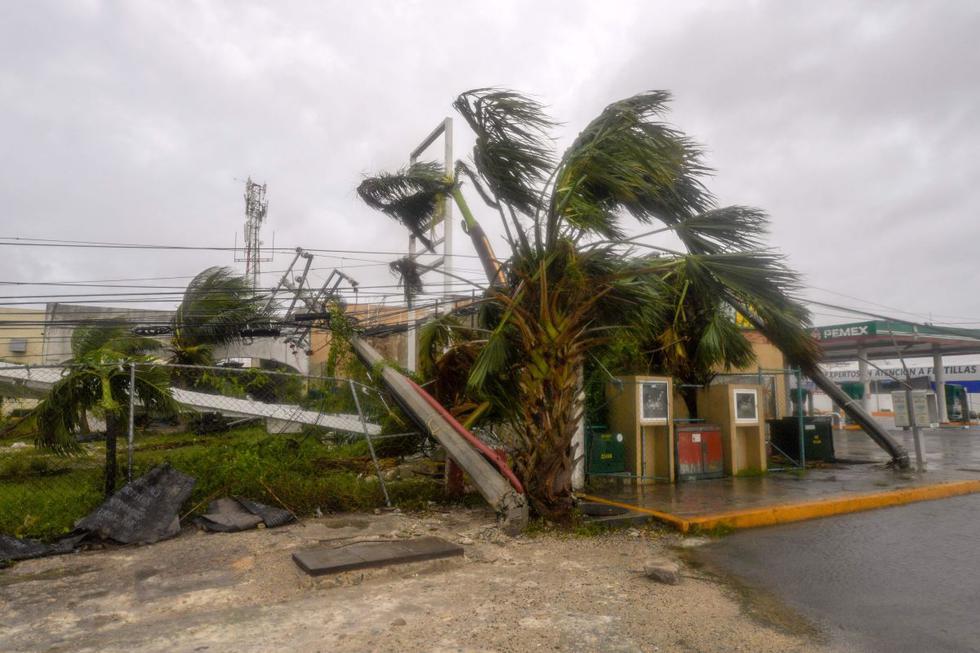 Vista de líneas eléctricas y árboles caídos después del paso del huracán Delta en Cancún, estado de Quintana Roo, México. (AFP / PEDRO PARDO).