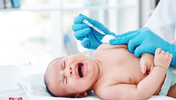 Se puede solicitar la vacuna desde la sexta semana de nacido. Foto: ¡Stock.
