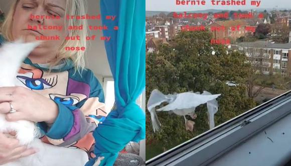 Tras morderla, Hayley botó a "Bernie" por la ventana. (Foto: @rabbithole_haze777/TikTok)