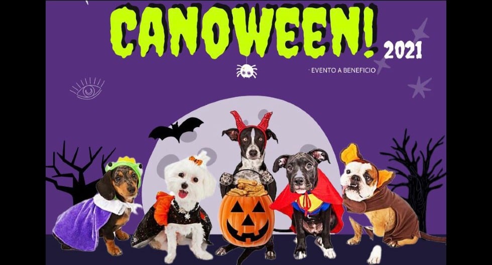 Mascotas disfrazadas participarán del 'Canoween criollo' . (Trome)