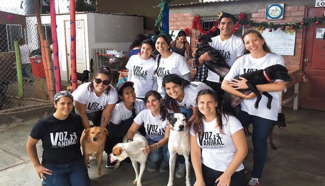 Anaís Anaya Aguilar es fundadora de la ONG ‘Voz Animal’, que da albergue a perros y gatos abandonados en las calles