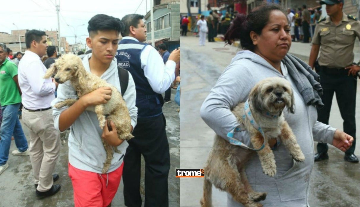 Perros afectados por incendio de Villa El Salvador | GEC | TROME