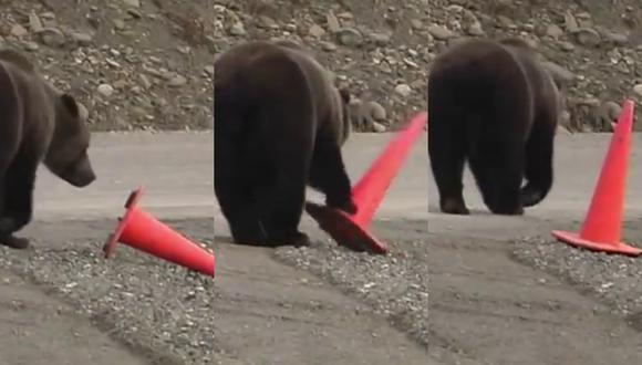 Un video viral muestra cómo un oso demuestra su civismo al levantar un cono derribado a un lado del camino. | Crédito: RM Videos / YouTube.