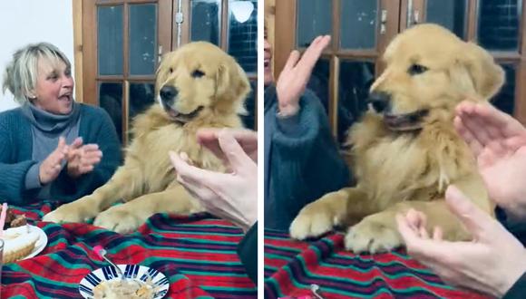El perrito intentó hacer las palmas como todos los presentes. (Foto: @AlexaGomezDos)