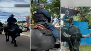 Policías usan búfalos para transportarse en isla de Brasil